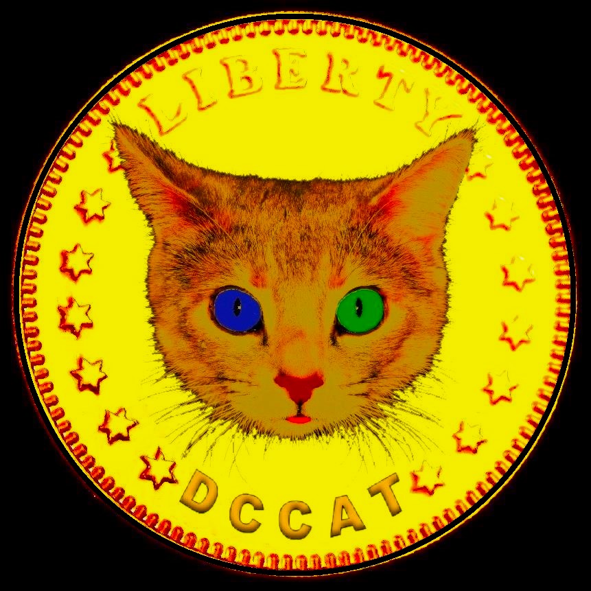 Dollar Cat