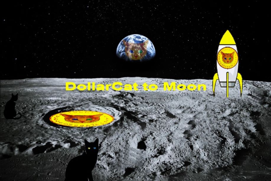Dollar Cat